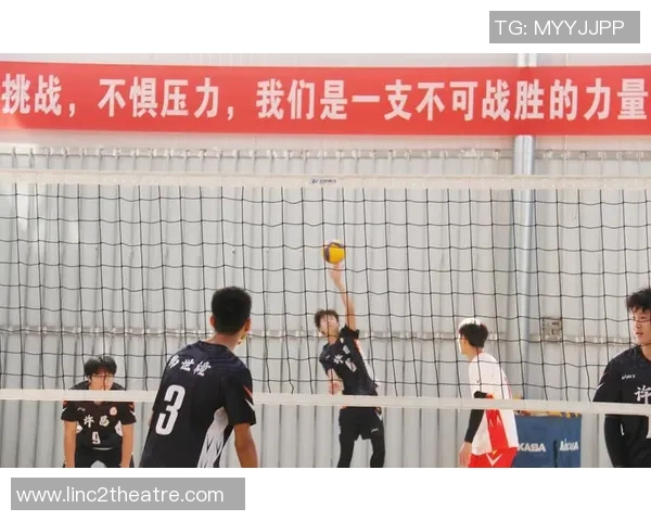 成都排球队的默契配合与战术解析探索排球运动的魅力与团队精神 成都排球队的默契配合与战术解析探索排球运动的魅力与团队精神